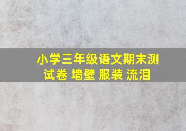 小学三年级语文期末测试卷 墙壁 服装 流泪